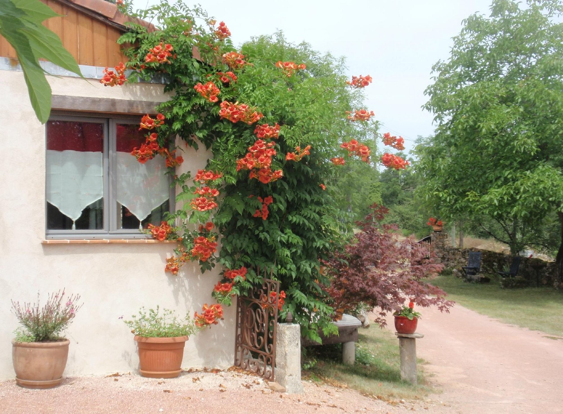 La Caselle d'hôtes, Chambre d'Hôtes à Faycelles