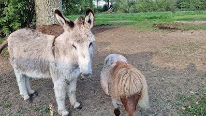 bienvenue chez Joëlle et André, Chambre d'Hôtes à Balazé
