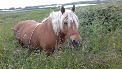 Villa Kersauzon, Location de Vacances à Sibiril