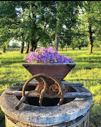 Cabanes Landes, Chambre d'Hôtes à Rion-des-Landes