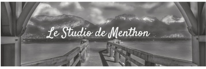 Le Studio de Menthon, Location de Vacances à Menthon-Saint-Bernard
