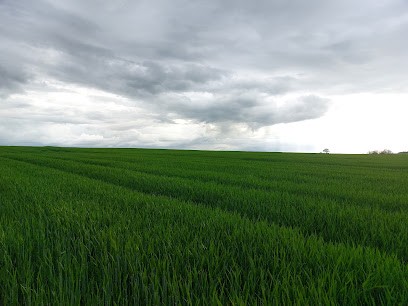 Gite des Nichoirs et des Roses, Location de Vacances à Suilly-la-Tour