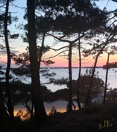 Martinephe Logement Vacances & Photographe D'art Arcachon Location De Vacances à Arcachon