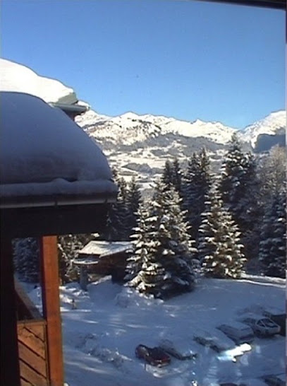 Location Appartement "Duplex" Pour 8 À 10 Pers Au Pied Des Pistes Du Domaine Skiable Du Grand Massif, En Haute–Savoie, Location De Vacances à Morillon