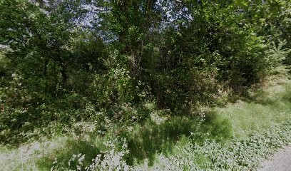 Chambre D'Hôte Moulin De Taillade, Chambre d'Hôtes à Génissac