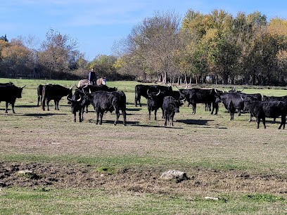 Manade Agnel Gites Les Hourtès, Location de Vacances au Cailar
