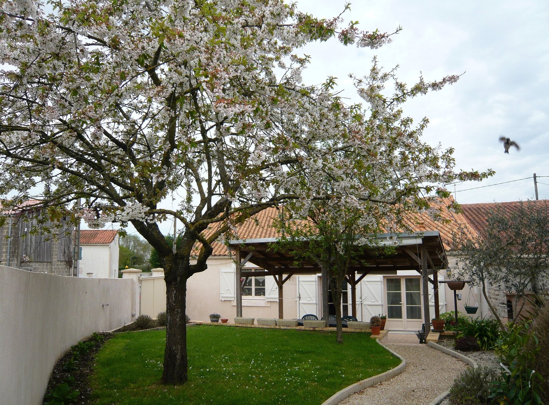 Chambres d'hôte La Rochelle - Les Chouettes Angliers, Chambre d'Hôtes à Angliers