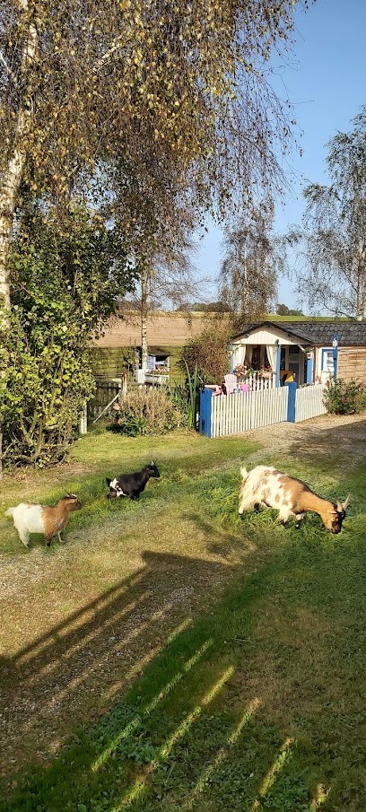 Gîte Des Prés, Location de Vacances à Criquetot-l'Esneval