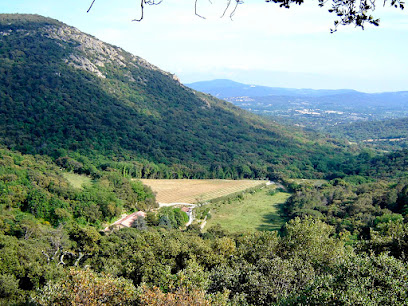 Les Mourressons - Appartements Pleine Nature À Grimaud, Location De Vacances à Grimaud