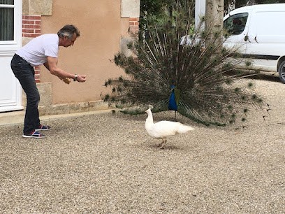 Les Cantins, Chambre d'Hôtes à Saint-Maur