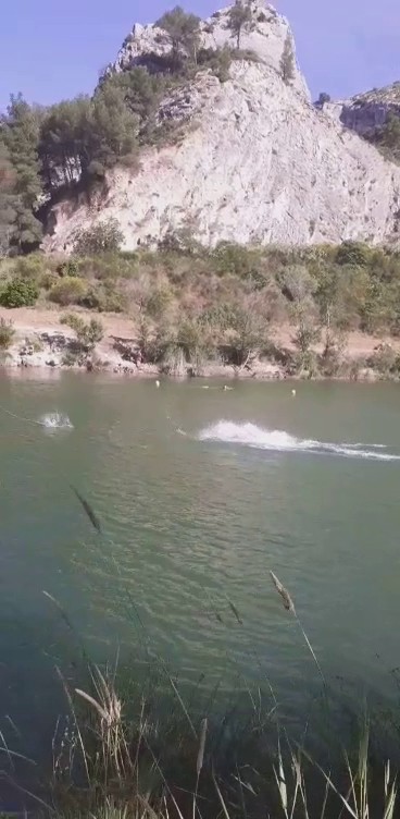 Auberge du Lac, Location de Vacances à Orgon