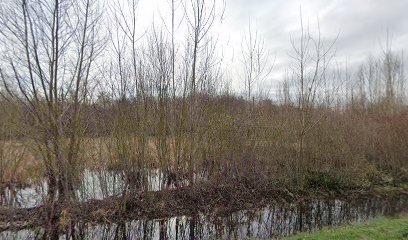Organisation Loisirs Jeunesse, Chambre d'Hôtes à Dissay