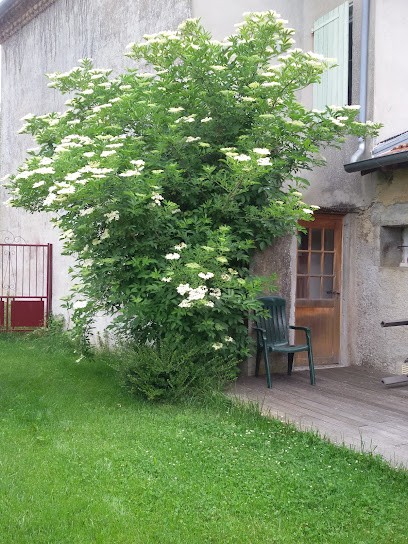 Maison d'Hôtes Figues et Galets, Maison d'Hôtes à Mondavezan