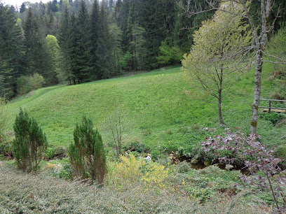 Gite Au Fil De L'eau, Location De Vacances à Bussang