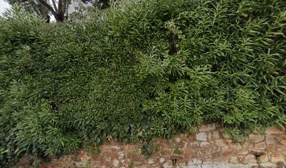 Apartement Esterel, Location de Vacances à Théoule-sur-Mer