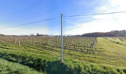 Escudie Guy, Chambre d'Hôtes à Fronton