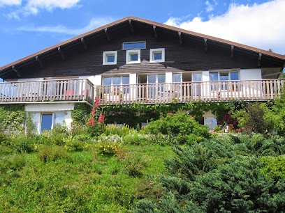Châlet LES GRELINES chambres d'hôtes à GERARDMER vue Lac, Chambre d'Hôtes à Gérardmer