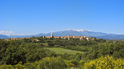 Ferienwohnung In Weinbauerndorf Zwischen Argeles, Saint Cyprien Und Le Boulou, Location De Vacances à Banyuls-dels-Aspres