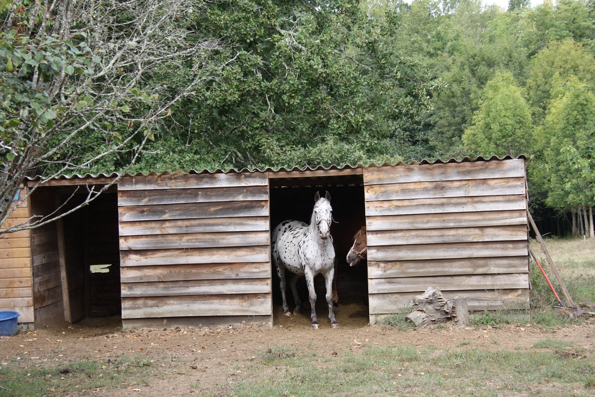Le Peyrail - Chambres d'hotes, Chambre d'Hôtes aux Lèves-et-Thoumeyragues