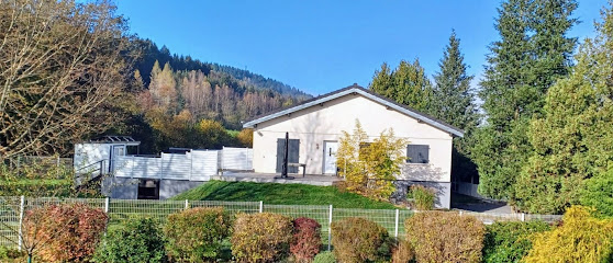 La Villa Des Hautes Vosges, Location De Vacances à Ban-sur-Meurthe-Clefcy