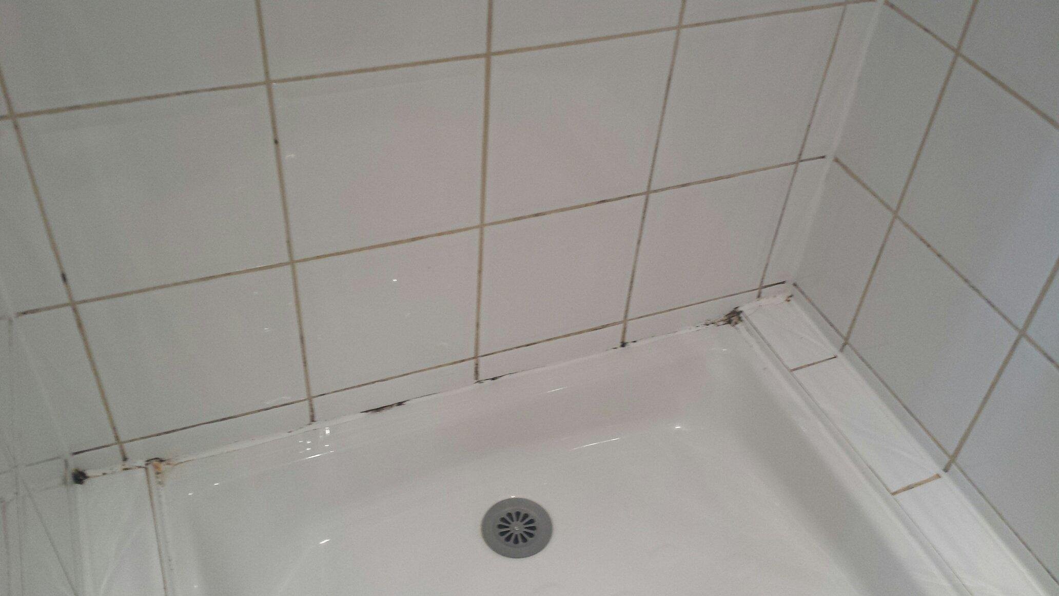 LE RELAIS SAINT-DOMINIQUE, Chambre d'Hôtes à Fanjeaux