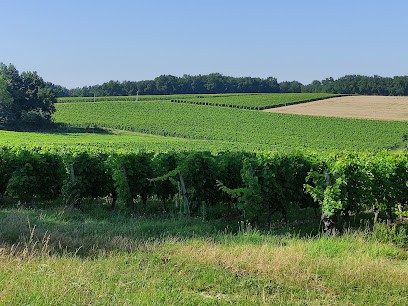Logeren bij Vlamingen, Location de Vacances à Montréal