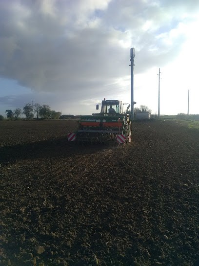 Chambres d' hôtes du Boenewal, Chambre d'Hôtes à Herzeele