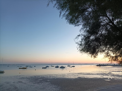 Rêve De Bassin Conciergerie, Location De Vacances à Andernos-les-Bains