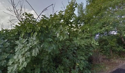 Sci De Lomagne La Tride, Chambre d'Hôtes à Lectoure