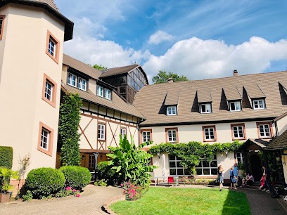 Le Moulin Vollach, Chambre d'Hôtes à Ingwiller