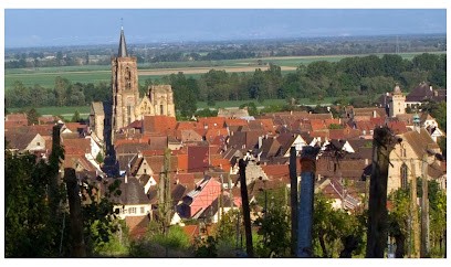 Cour Sud, Chambre d'Hôtes à Rouffach