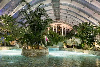 Center Parcs Le Bois aux Daims, Location de Vacances à Morton