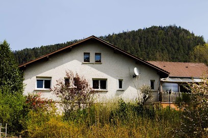 La Chti Cabane, Chambre d'Hôtes à Taintrux