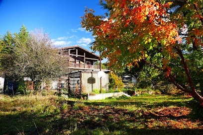 L'ânon d'Andon, Chambre d'Hôtes à Andon