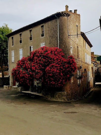 Chez Shona, Chambre d'Hôtes à Lagrasse