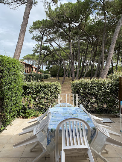 Maison Conviviale Biscarrosse Plage, Location De Vacances à Biscarrosse