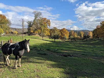 CAPPERHaN'S Equestrian Farm And Relay For Trail Riders, Chambre d'Hôtes à Champs-sur-Tarentaine-Marchal