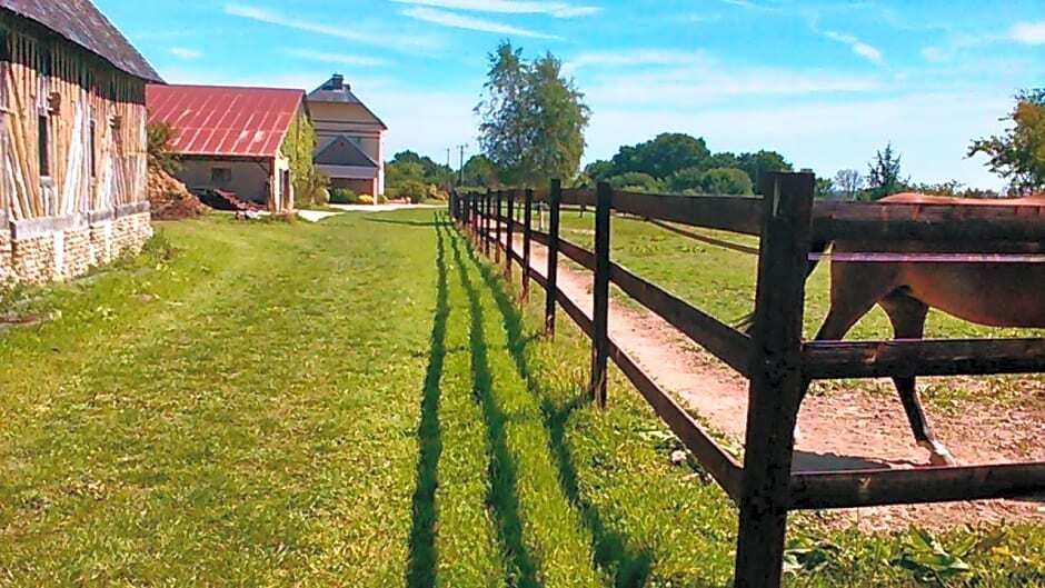 B&B Haras de la Cour Fleury, Chambre d'Hôtes à Livarot-Pays-d'Auge