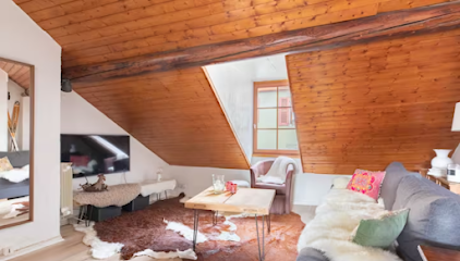 Le Chalet In The Heart Of The Old Town, Location De Vacances à Annecy
