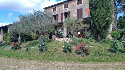 La rivière, Chambre d'Hôtes à Damazan
