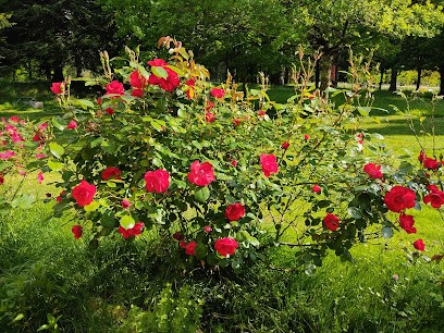 Le Bois des Fées de Chazelles, Chambre d'Hôtes à Chazelles