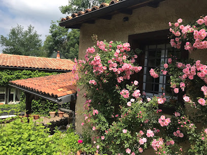 La Lisette, Location De Vacances à Ris