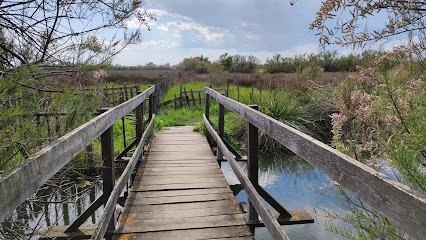 Nostal'Gite, Chambre d'Hôtes à Lansargues