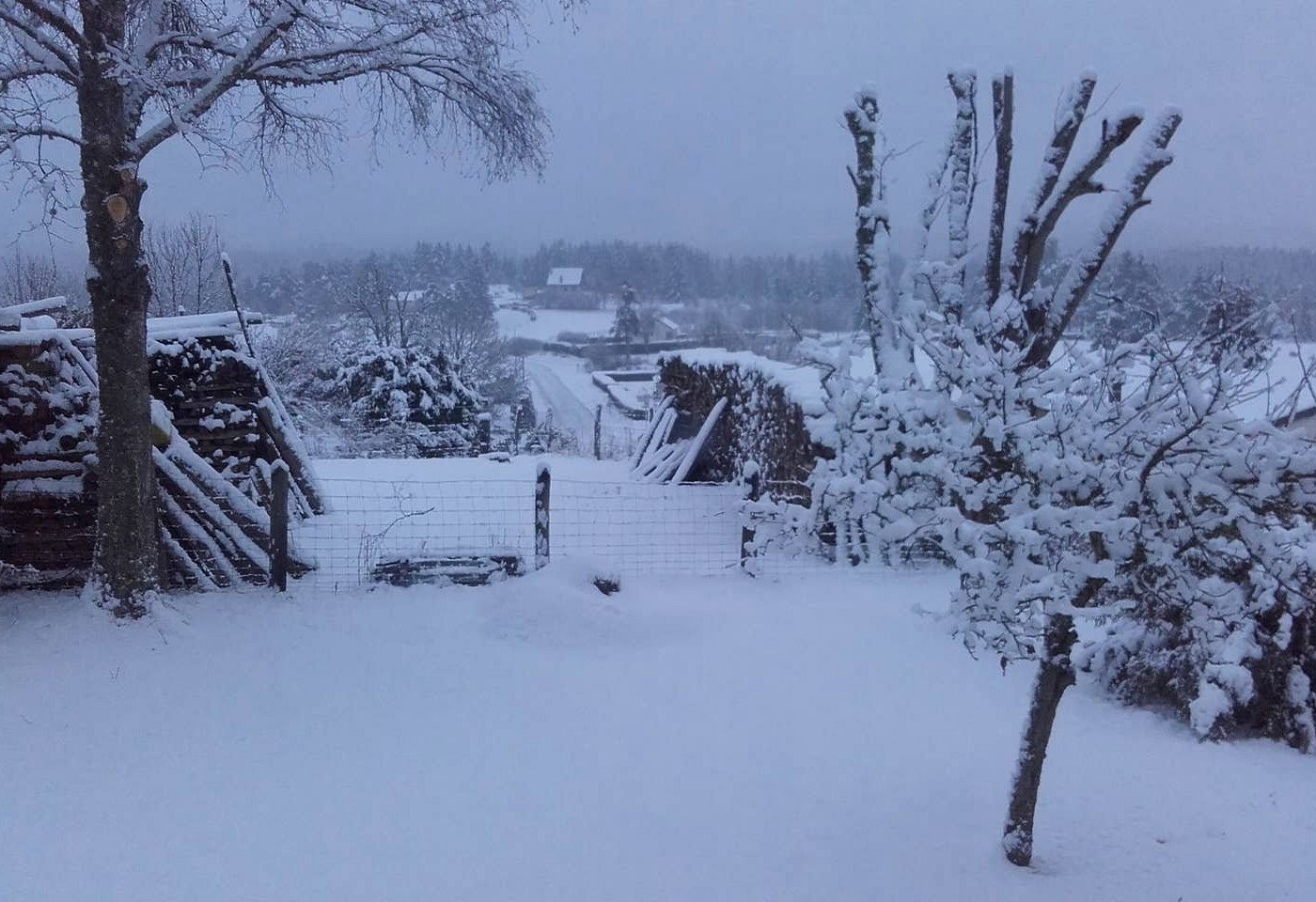 Chambre D'Hôtes Aux Genêts De Joséphine, Chambre d'Hôtes à Fournols