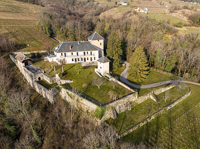 Chateau D'apremont, Chambre D'hôtes à Apremont