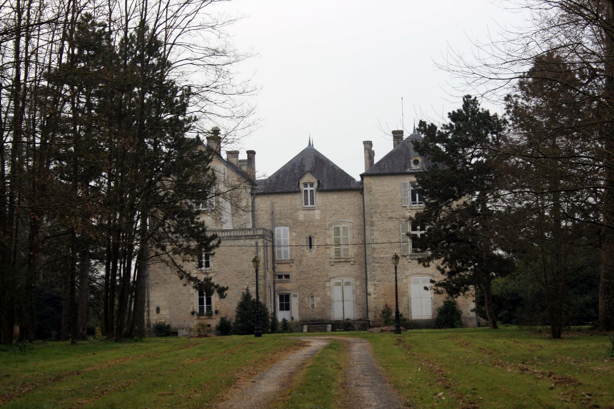 Chateau des Touches, Chambre d'Hôtes à Alloinay