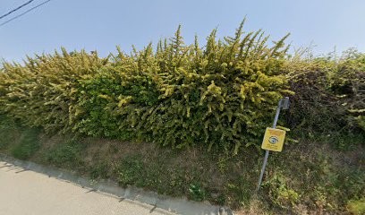 Au Rocasson, Chambre d'Hôtes à Pujaut