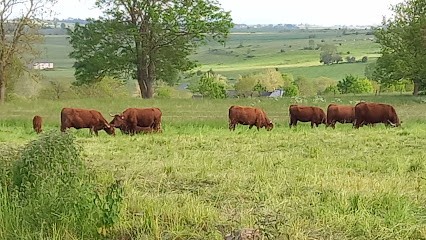 Gîte de Nouvialou, Location de Vacances à Valuéjols