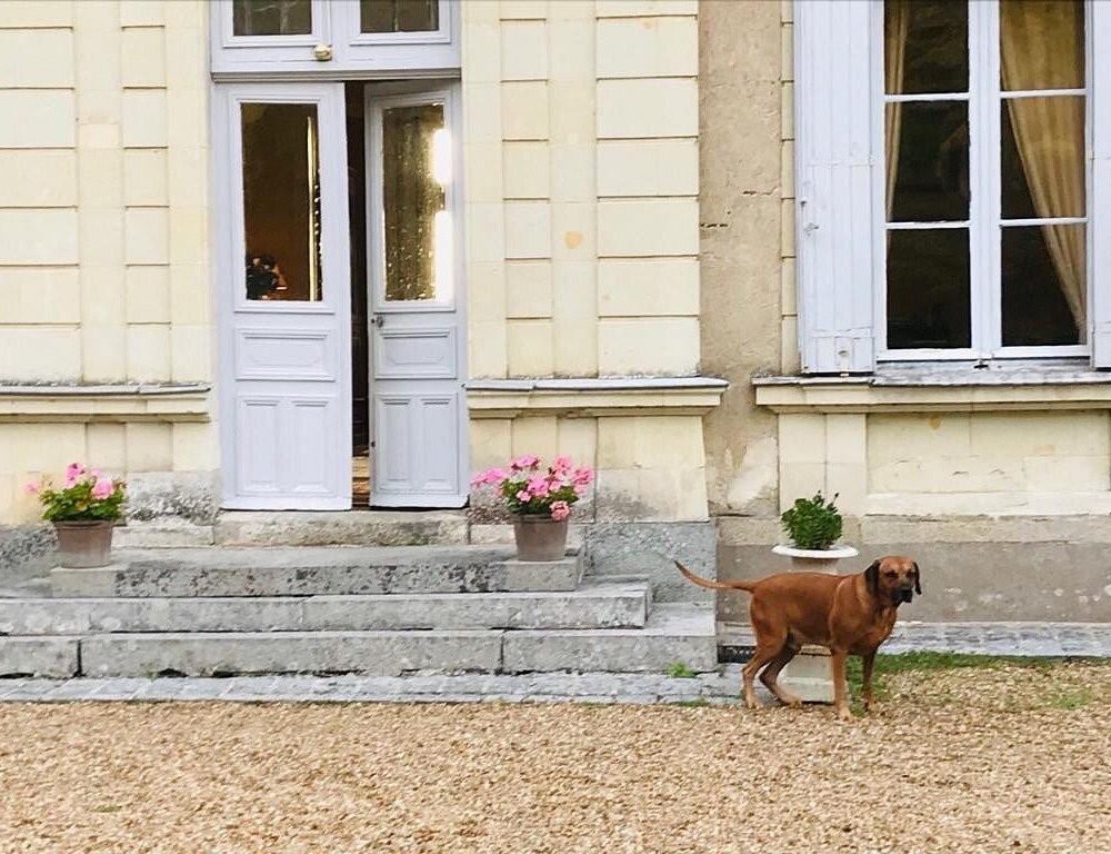 Le Rossay, Chambre d'Hôtes à Saint-Clément-de-la-Place