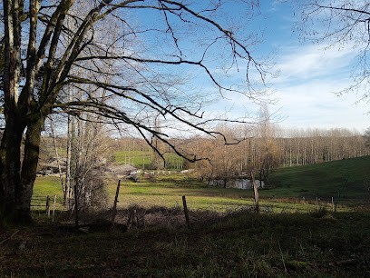 Ferme Avit, Chambre d'Hôtes à Thiviers